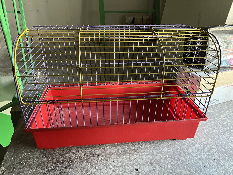 Клітка для морської свинки