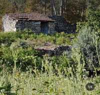 Terreno para venda - Gumiei, Ribafeita, Viseu - N16