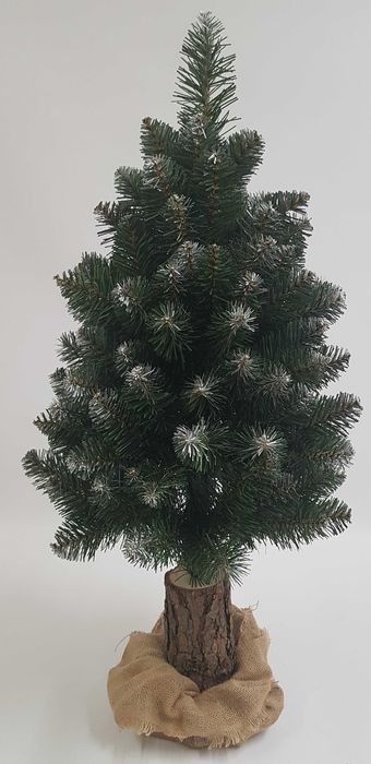 Choinka na pniu, jodła śnieżona 100 cm