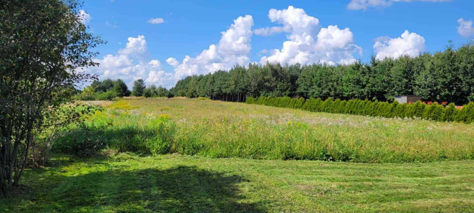 Dom na sprzedaż w miejscowości Sokolniki