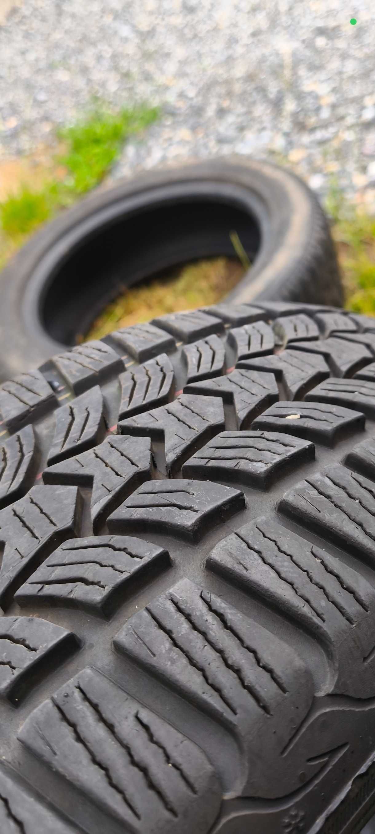 Opony frigo Dębica 16 205/55 R16