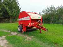 Sprzedam prase Sipma 276/1