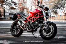 Ducati monster 900 projekt custom cafe racer