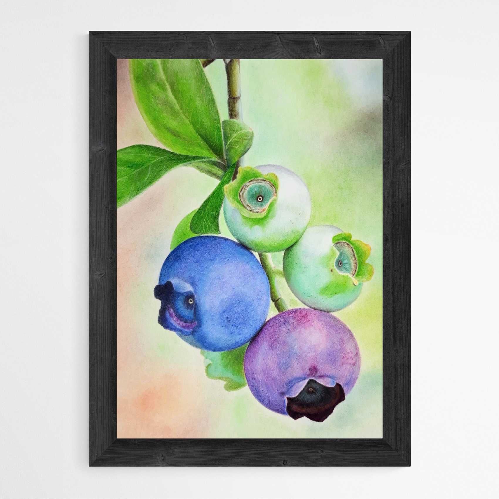 Rysunek kredkami obraz 21x30 martwa natura, borówki