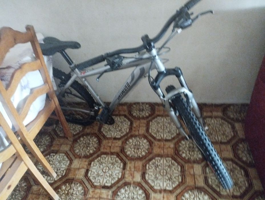 Bicicleta specializeo