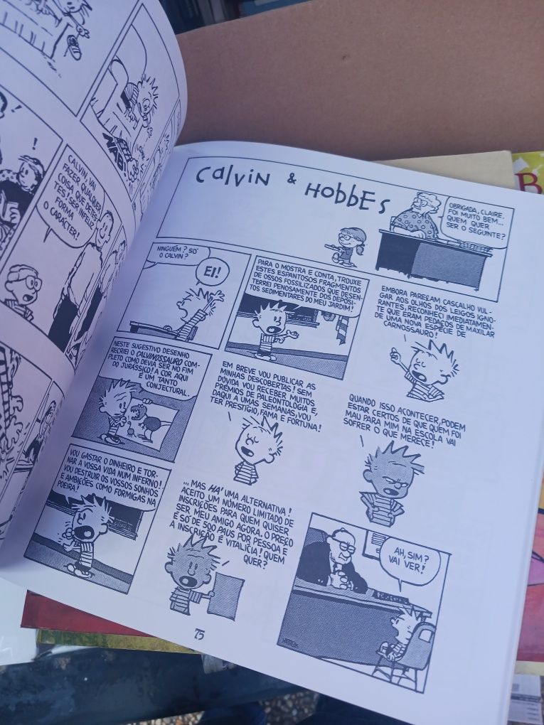 Calvin & Hobbes Comics