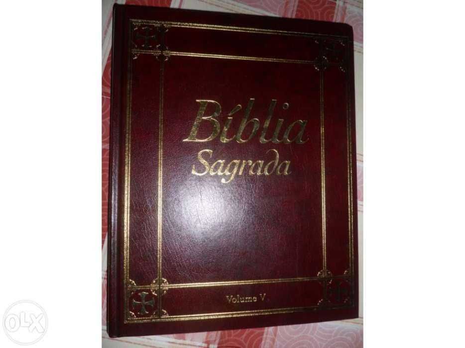 A Biblia sagrada volume V