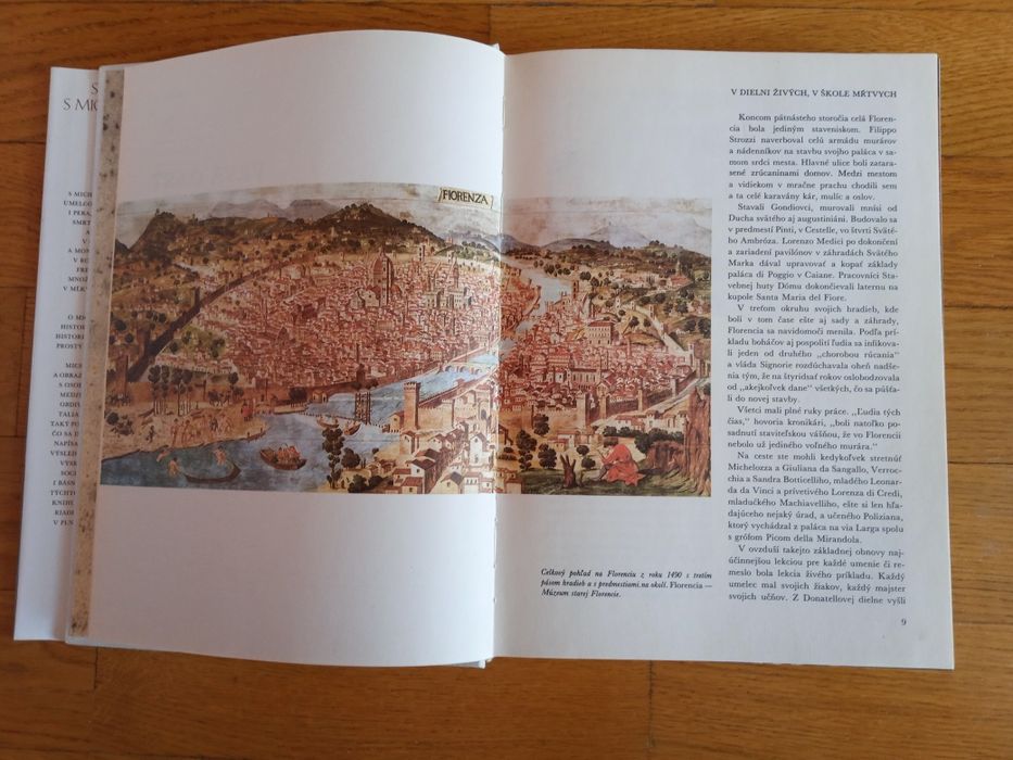 Книга "Встреча с Микеланджело".