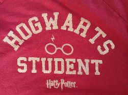 Harry Potter Hogwart Student bluza Smyk Cool Club rozmiar 146 152