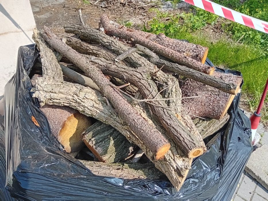 Drewno opałowe mieszane Rzeszów, świerk, lipa, akacja