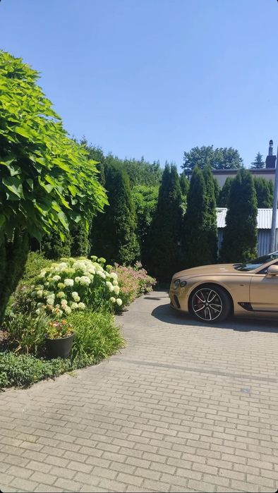 Podnajmę stanowisko fryzjerskie