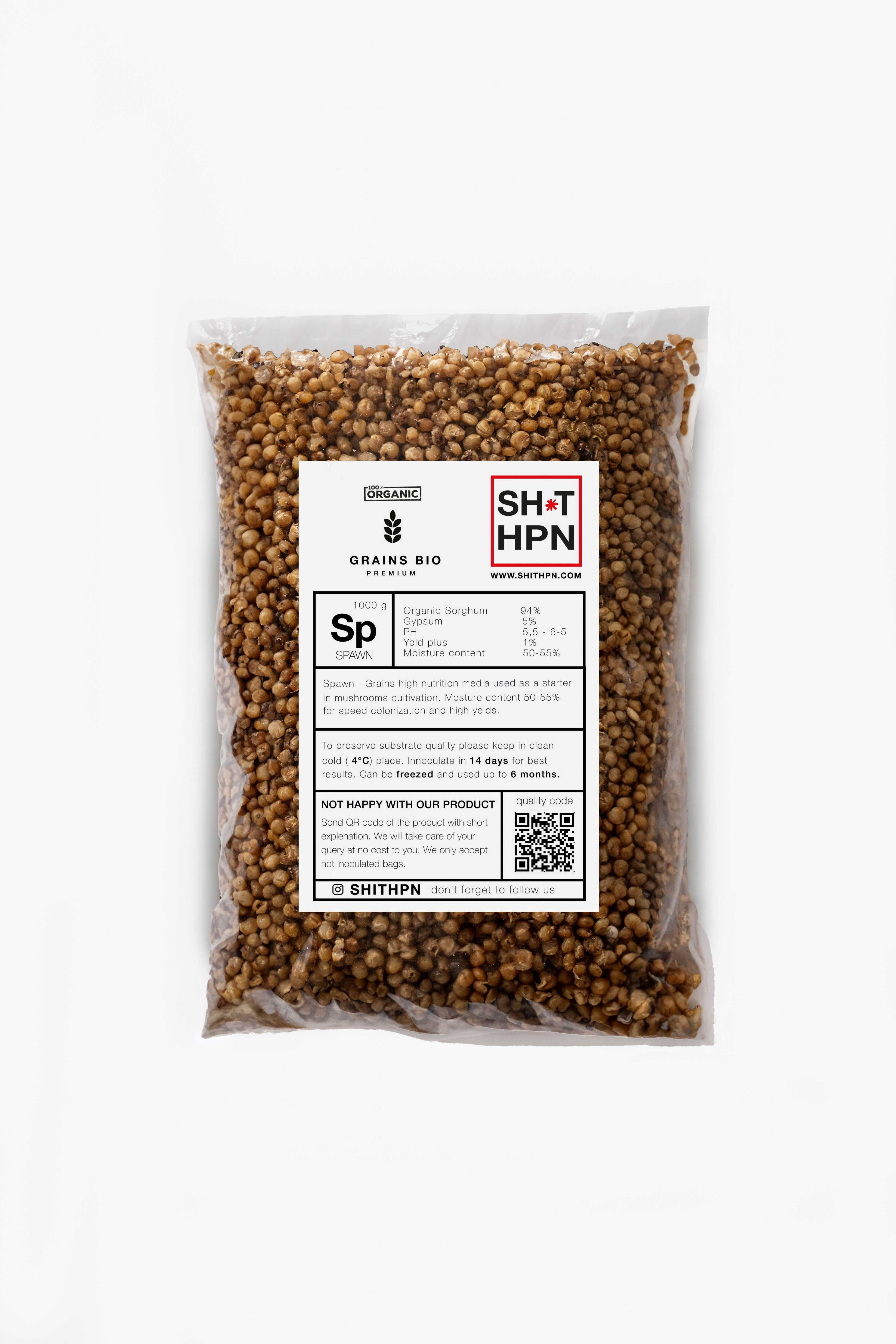 Ziarno do uprawy grzybów XXL 1kg/2.4 l I Grow Kity I Płynne kultury