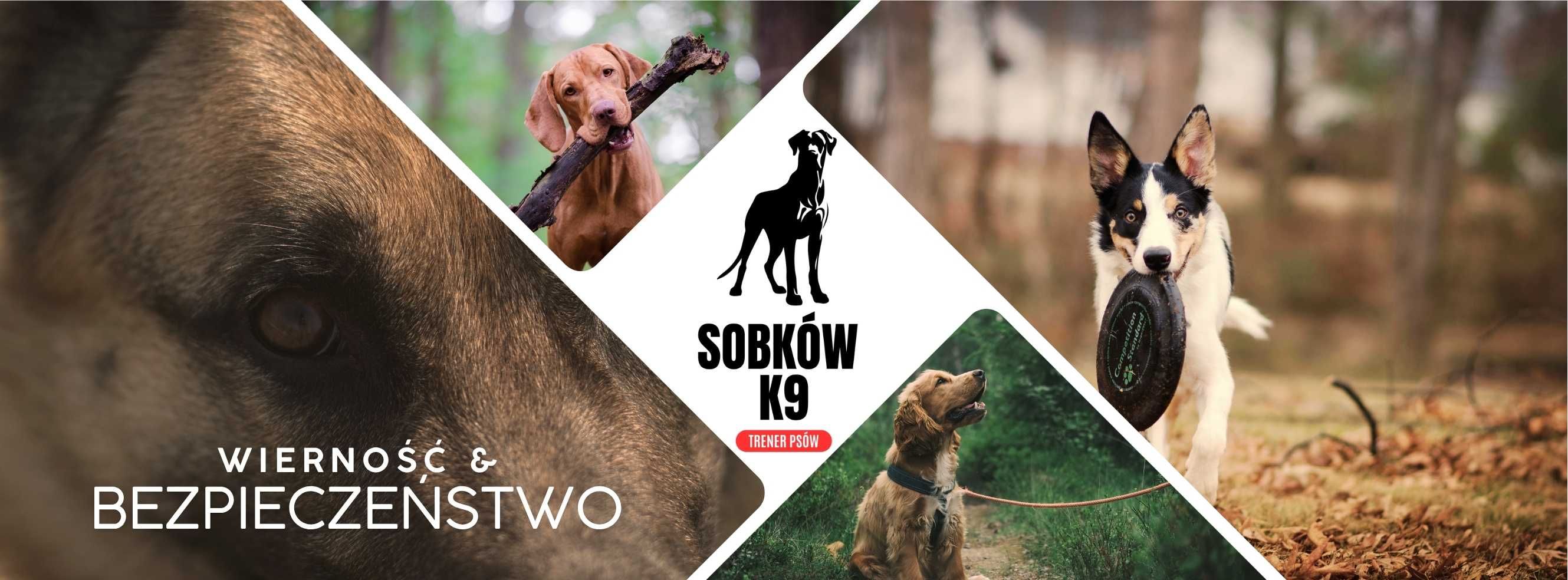 TRENER PSÓW / Szkolenie psów / psi behawiorysta / DARMOWE konsultacje
