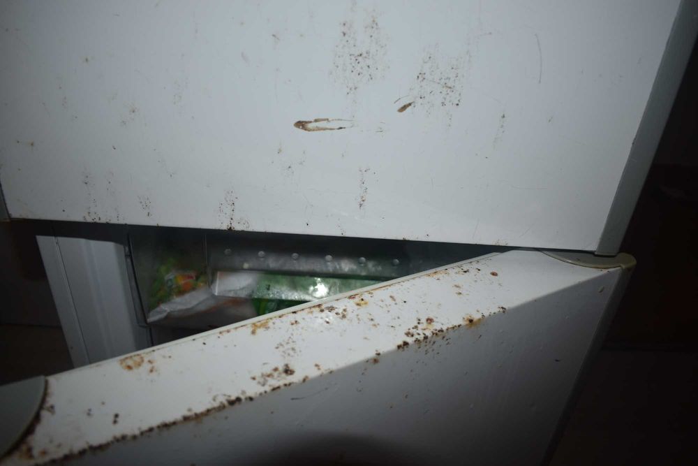 Frigorífico CANDY A+