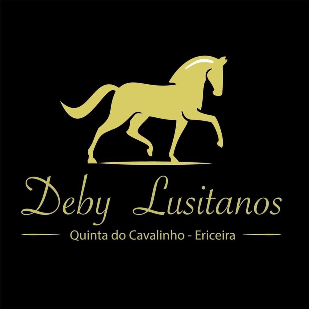 Cavalo Lusitano Puro Veiga Filho do Almansor  Sociedade das Silveiras e neto do Riopelle!