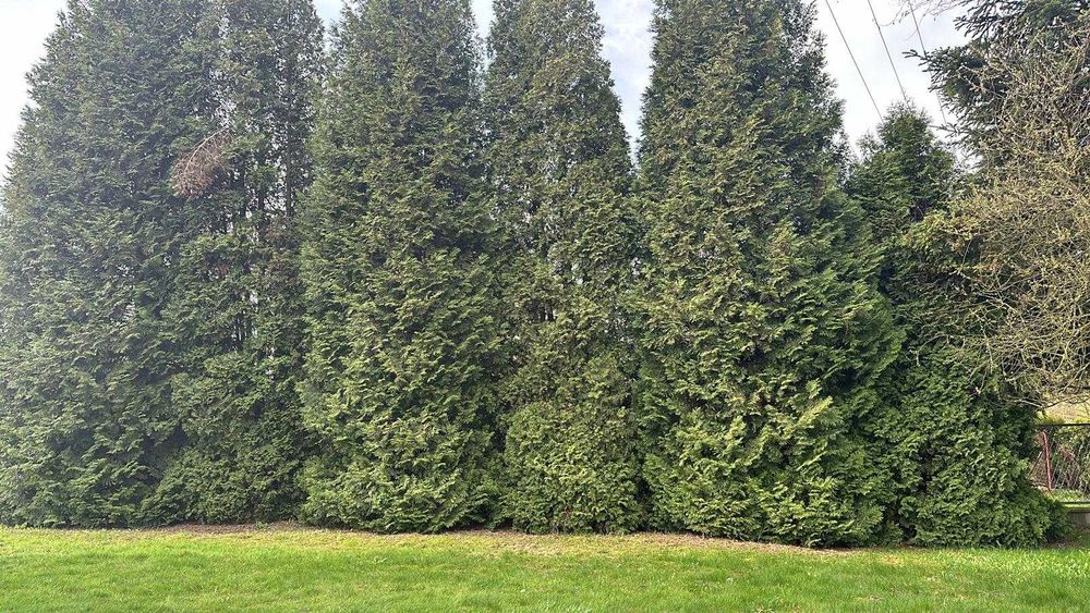 Dom Hecznarowice 191m2, duza działka