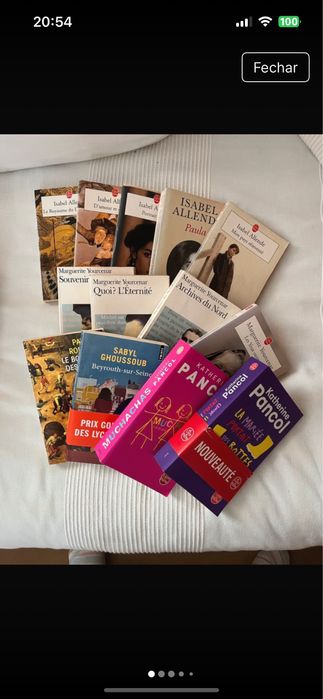 Lote de 13 livros de poche