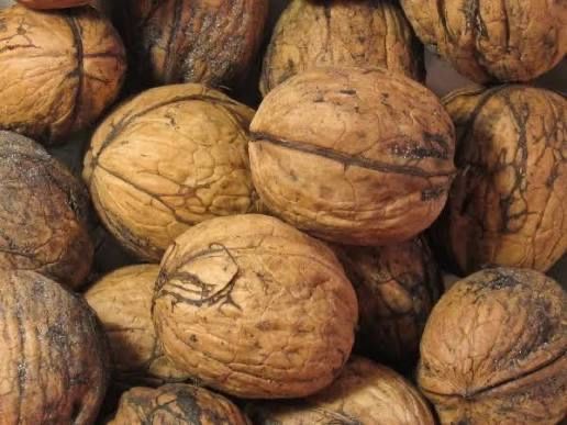 Orzech włoski łuskany