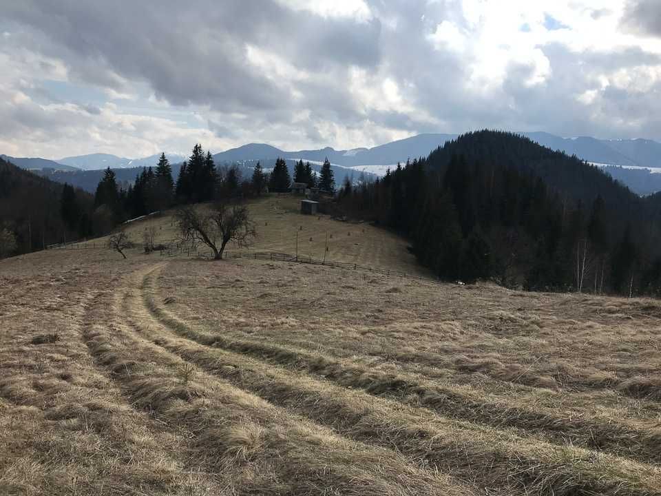 Продається земельна ділянка в селі Волова (від власника)