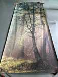 Fototapeta Lateksowa Magiczny Las 125cm sze. x 300cm wys.