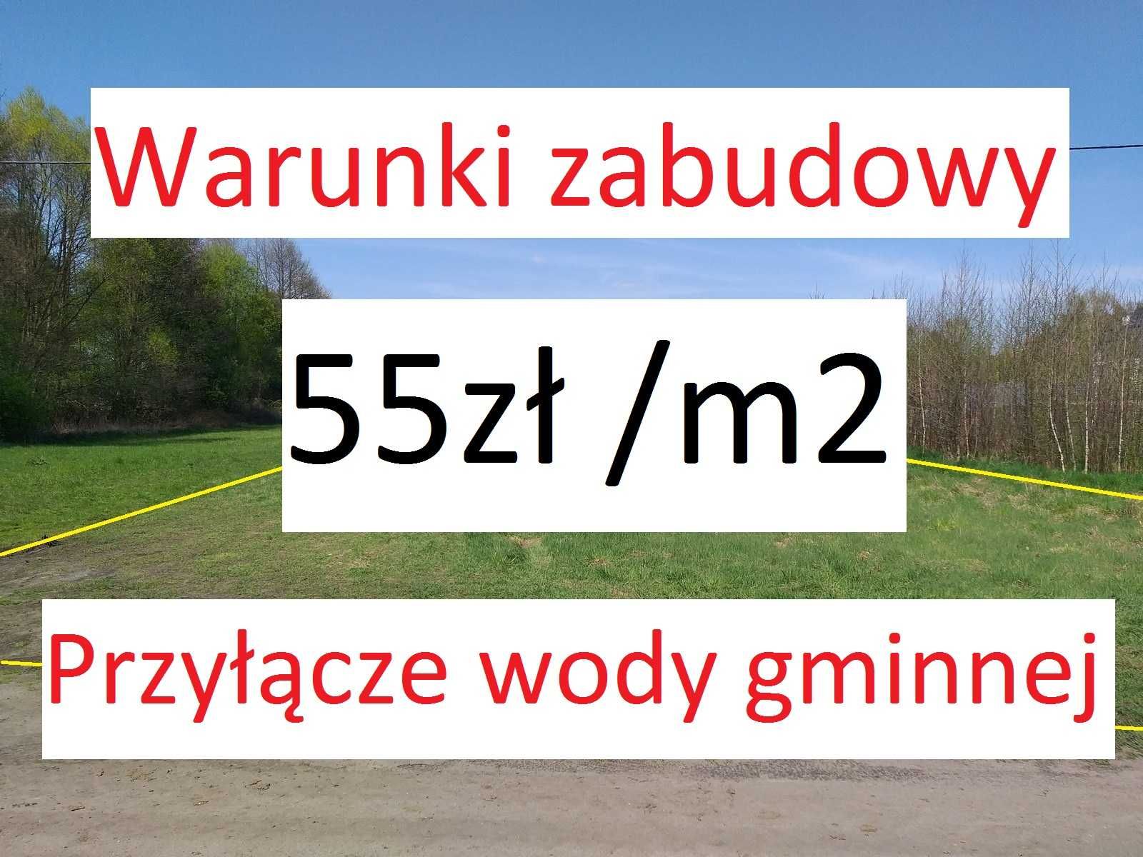 Działka budowlana 55zł /m2 - Borek  | war. zabudowy + przyłącze wody