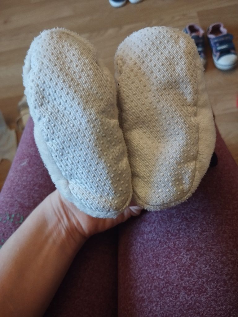 Niechodki pieski