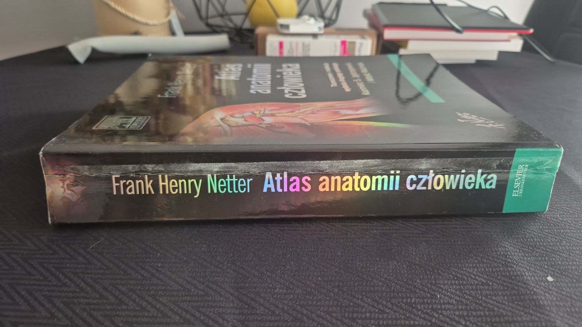 Atlas Anatomii Człowieka Frank Henry Netter