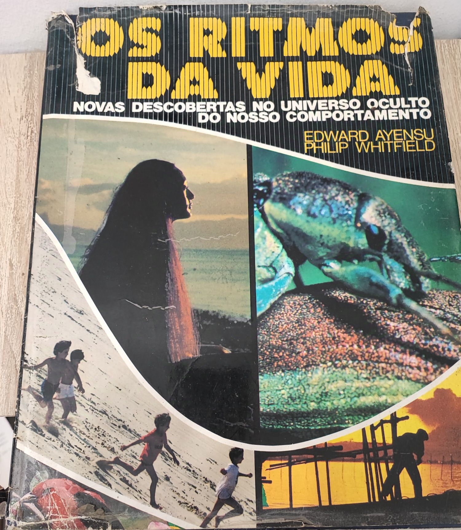 Os Ritmos da Vida - Edward Whitfield