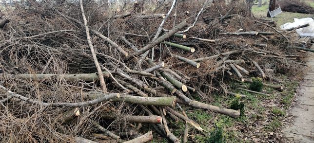 Вывоз веток, дробление, щепа, измельчение веток.