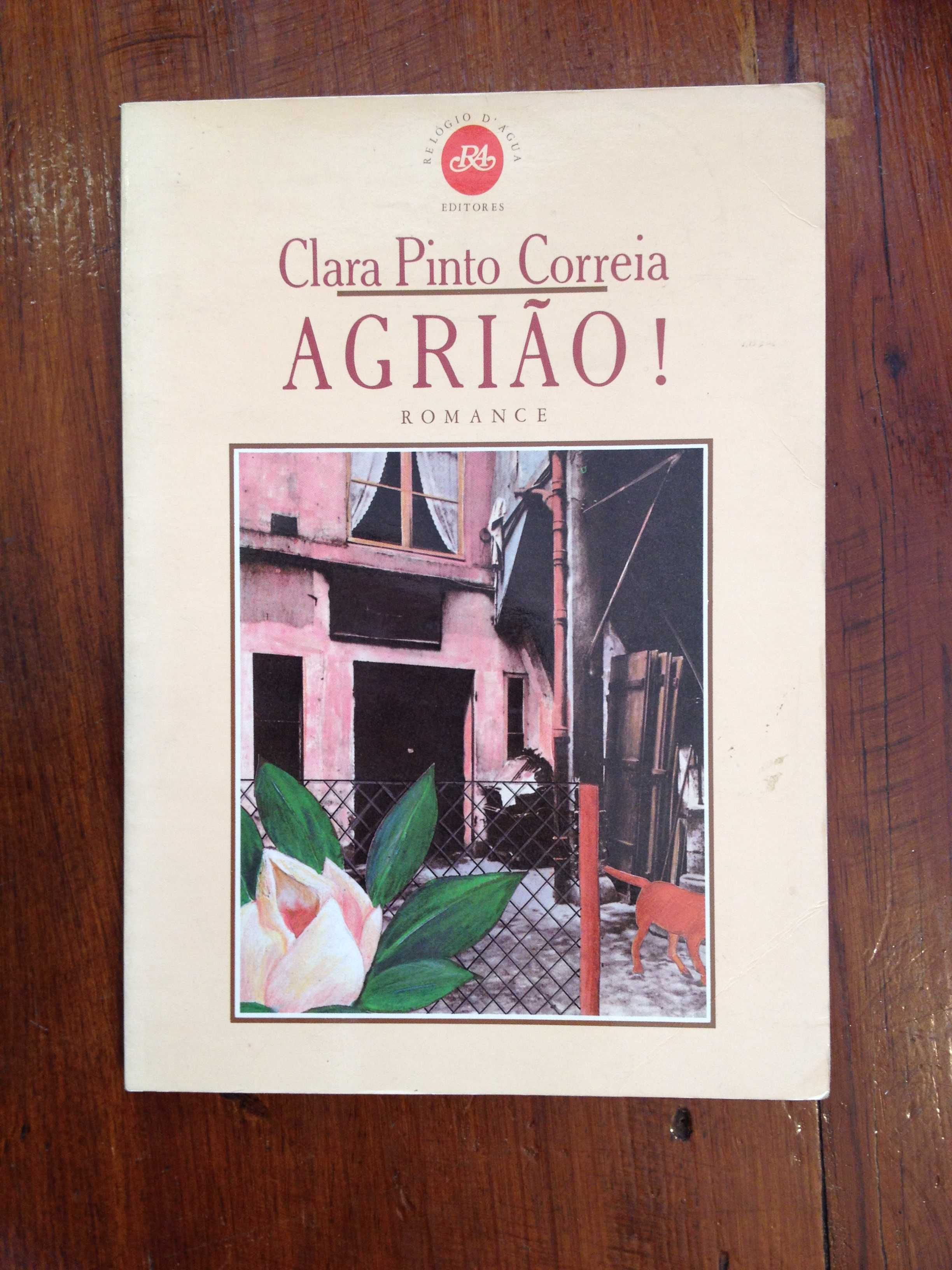 Clara Pinto Correia - Agrião!