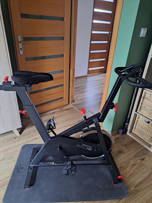 Rower stacjonarny Domyos Biking 100