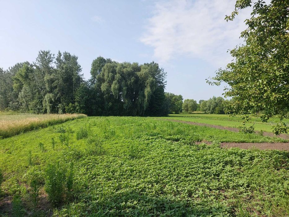 Продам хату Печі