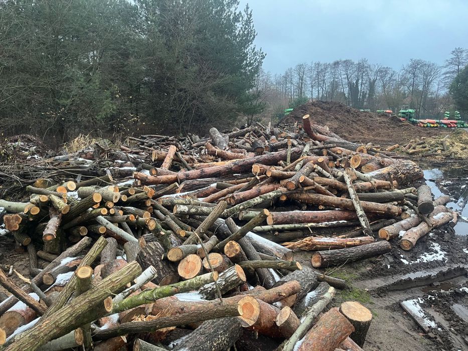 Drewno na opał obałki