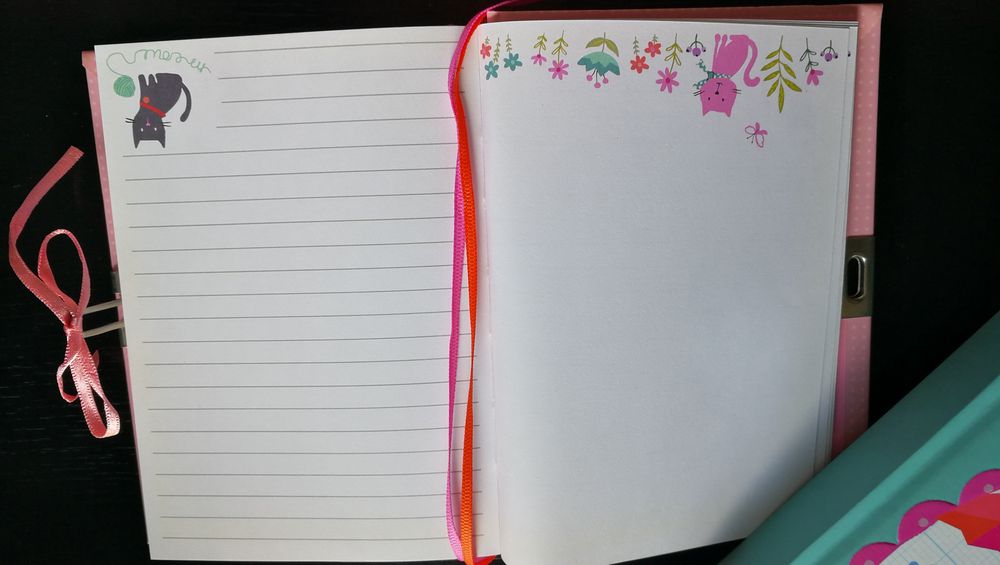 A ESTREAR I Diários/ Bloco notas Acessorize Gatos/Coruja