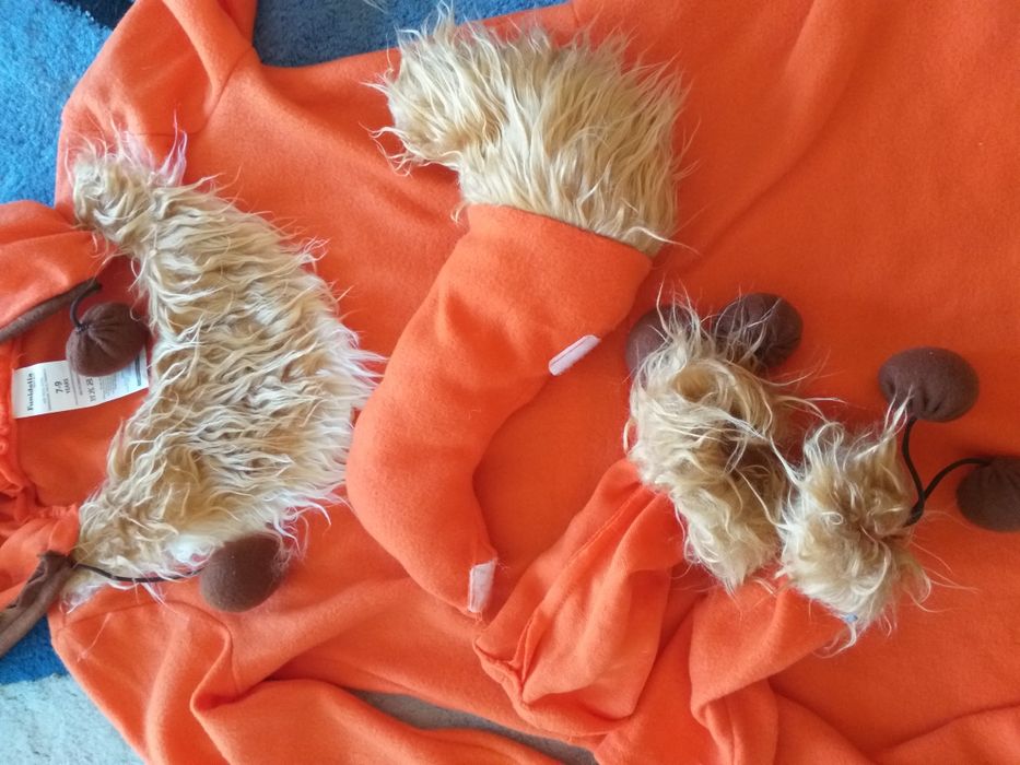 Fato de carnaval raposa