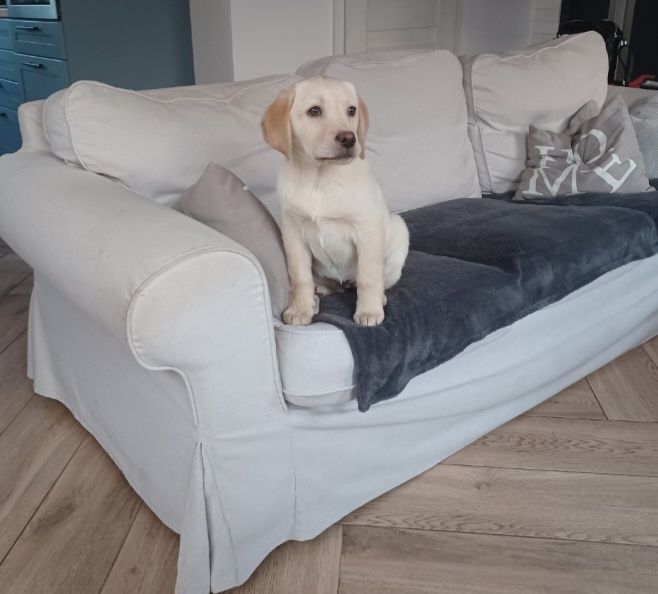 Sofa ektorp 3 osobowa