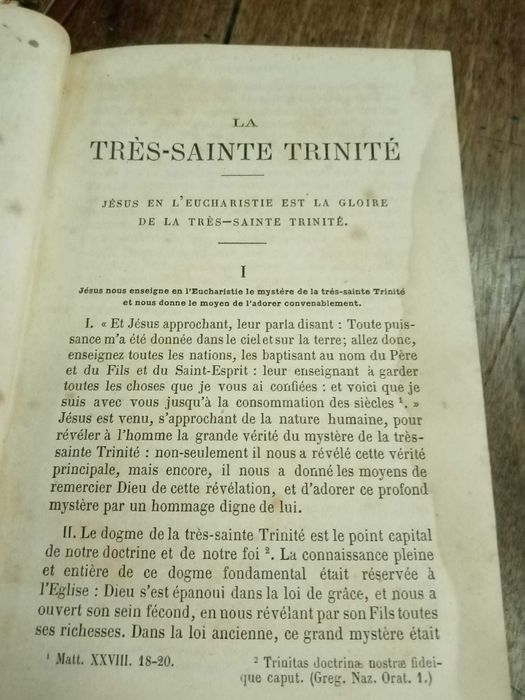 L´eucharistie. Médtations pour chaque jour de l´année (1866)