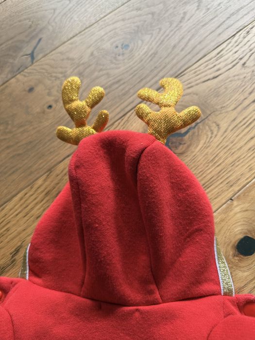 Royal Puppy - bluza deer czerwona