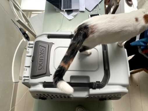 Переноска клетка SKUDO бокс авиа для собак размеры от №1,2,3,4,5,6,7