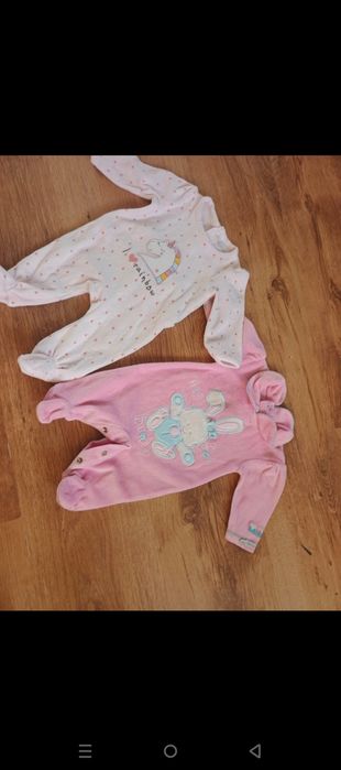 Śpiochy 56 polarkowe