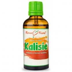 złoty wąs krople ekstrakt