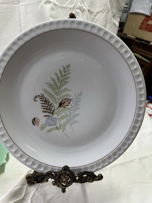 Pratos rasos Vista Alegre