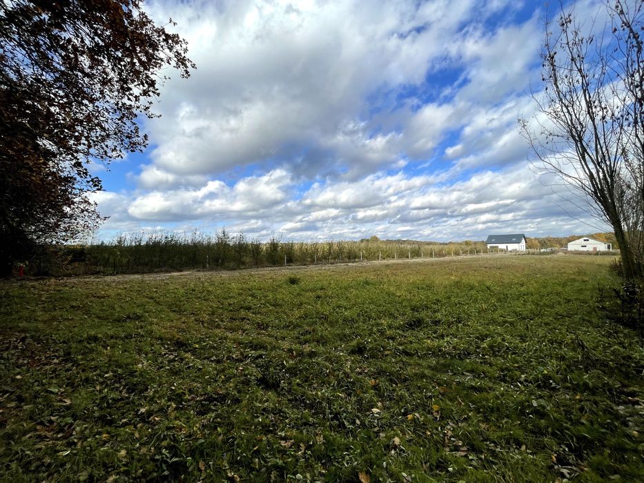 Działka budowlana z widokiem na las, Cholewianka, Gm. Kazimierz Dolny
