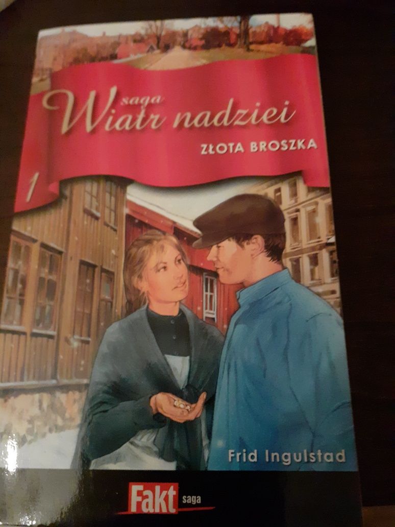 Sagi skandynawskie 10 sztuk