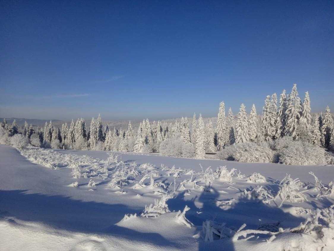 Domki z Widokiem (jacuzzi, taras)