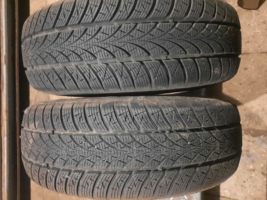 Triangle WinterX TW401 215/65R16