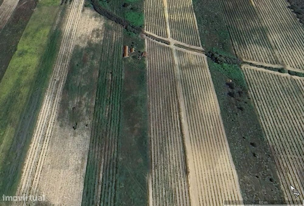 Terreno Rústico com Moradia | 11.600 m2 | Alpiarça