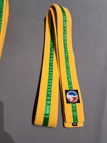 Pad Taekwondo PFT żółty z zieloną belką 160