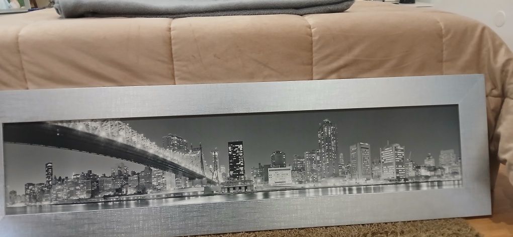 Quadro de sala ! 20euros