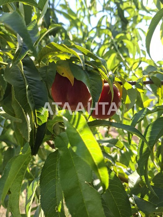 Дом в Прилиманском на 7.6 сотках